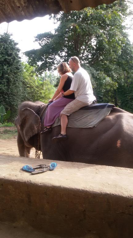 Suwani Pinnawala Homestay Eksteriør bilde